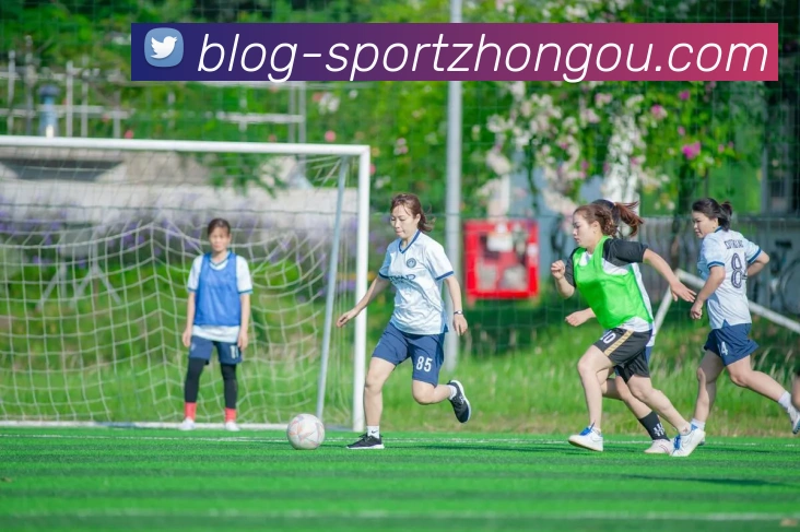 中欧体育服务体系